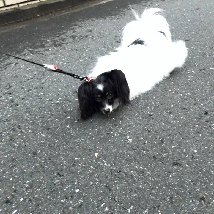 99f6e3fb 41a0 4a42 8926 a2c6a44811c2