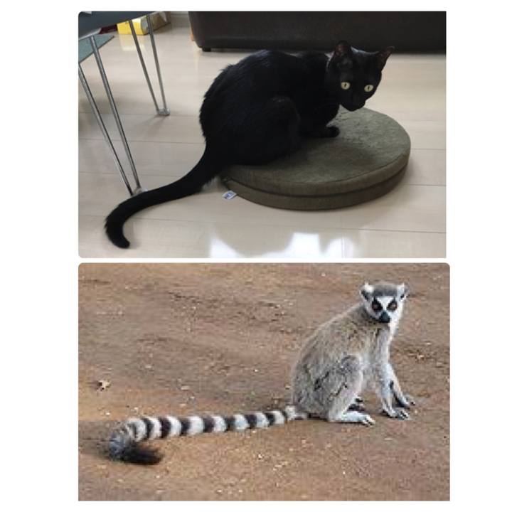 99f71873 ded6 4d1c a127 59d6b4ae11f4