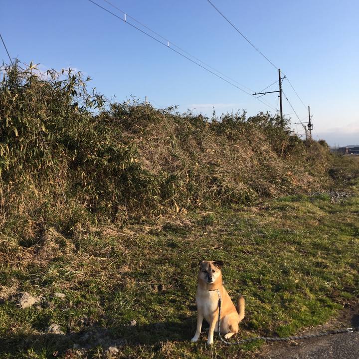 99f7689c 5cdd 49ed a115 4adf011cdad0