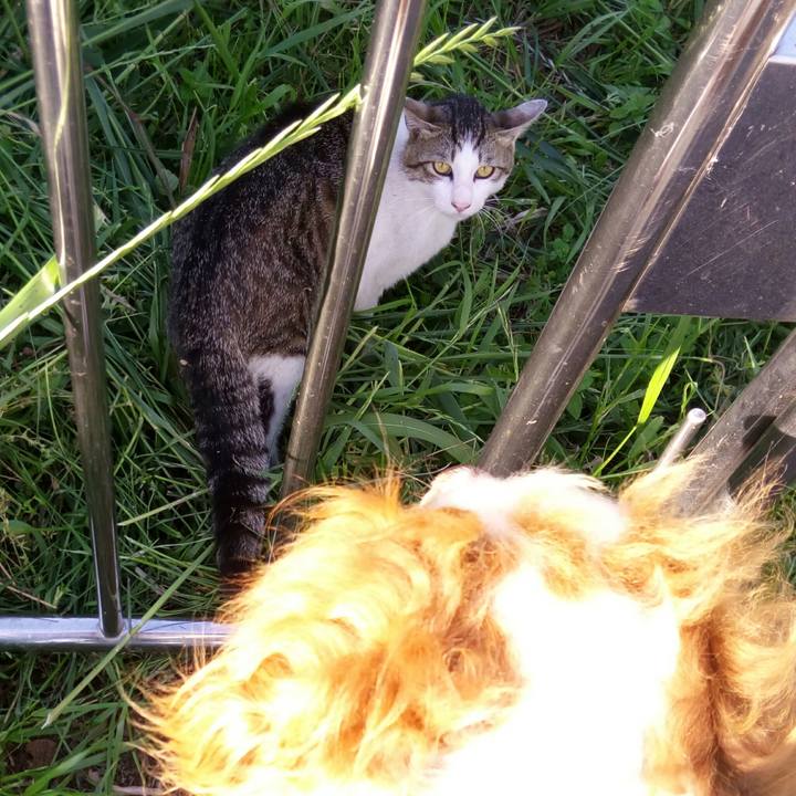 99f77622 131b 4e51 8c3c 9f5e1af8e32d