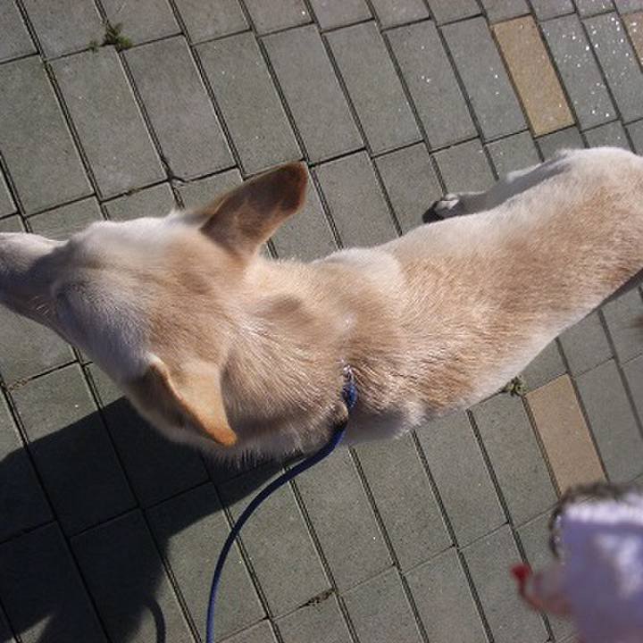 99f7890b b2f1 4d7b ab52 8101f228ecab