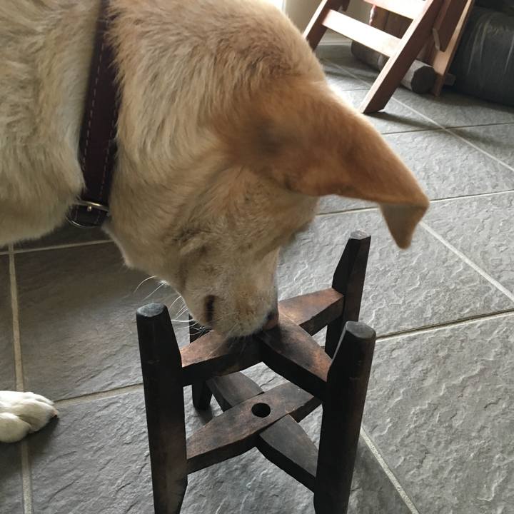 99f7f80e 32d9 4bbb 9cbd 8fe5a087449c