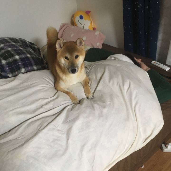 99f81d83 f8ce 48fc 8117 0ebd08e986eb