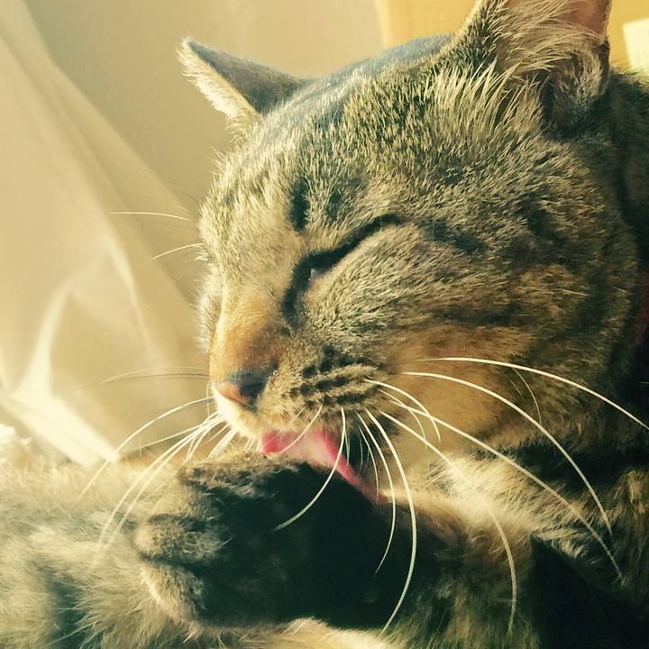 99f85b14 3758 4d28 bbb8 bb5672650106