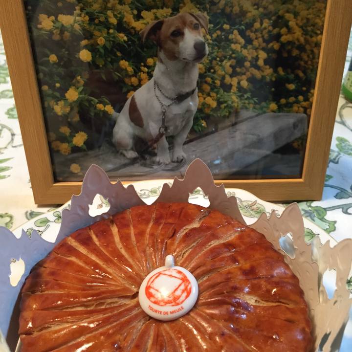 99f8bdad 2ac0 4841 aec2 66977b2efcc7