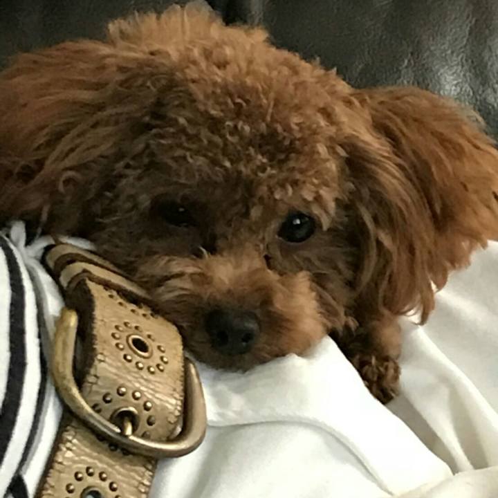 99f954c9 9e8e 4819 9e7d 4f2f6700bddc