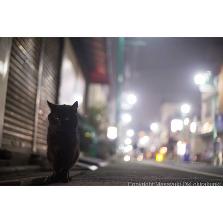 99f97f1e 2b67 44fc af37 ac29e5e15cd1