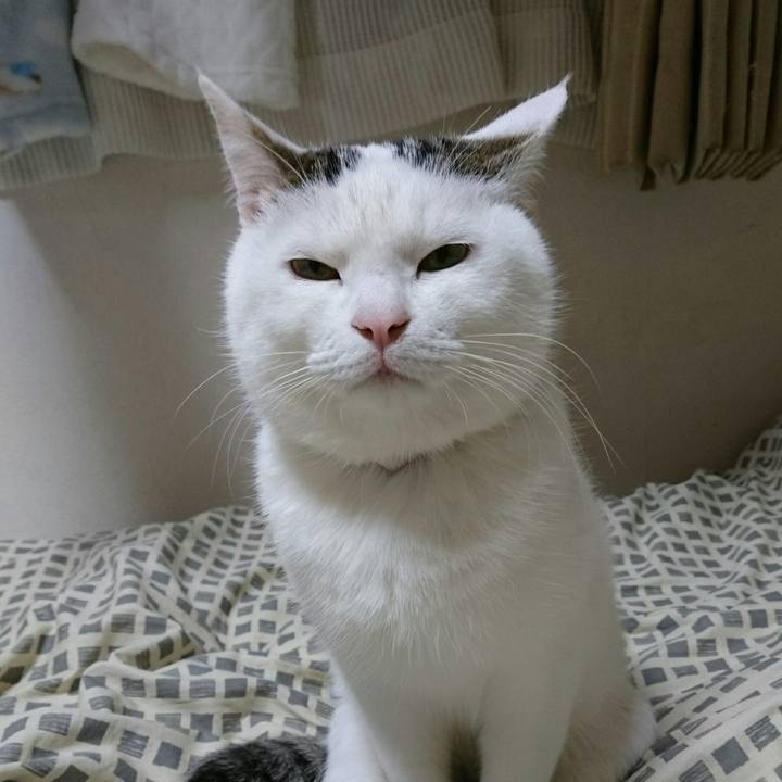 99f97ff8 3e52 4504 af4e 73459b9f4284