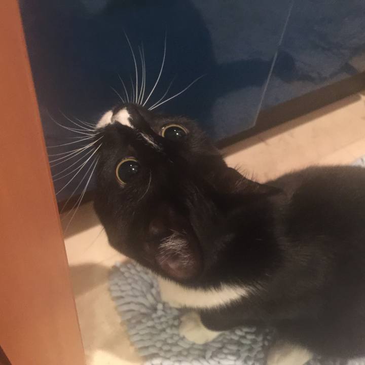 99f9c92f cf9d 41c6 ae8a 615b2231e8e4