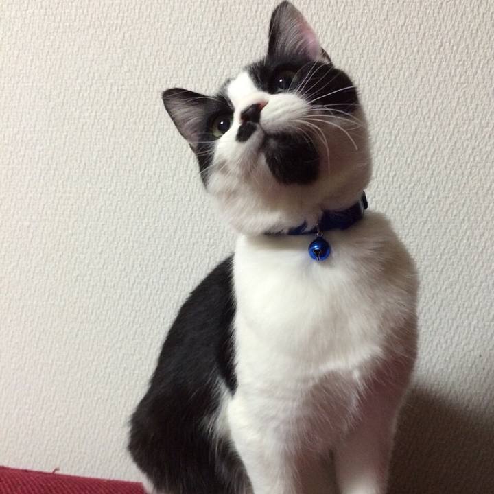 99fa5bba 09af 40dd 83e7 1fa8a3fbaf1b