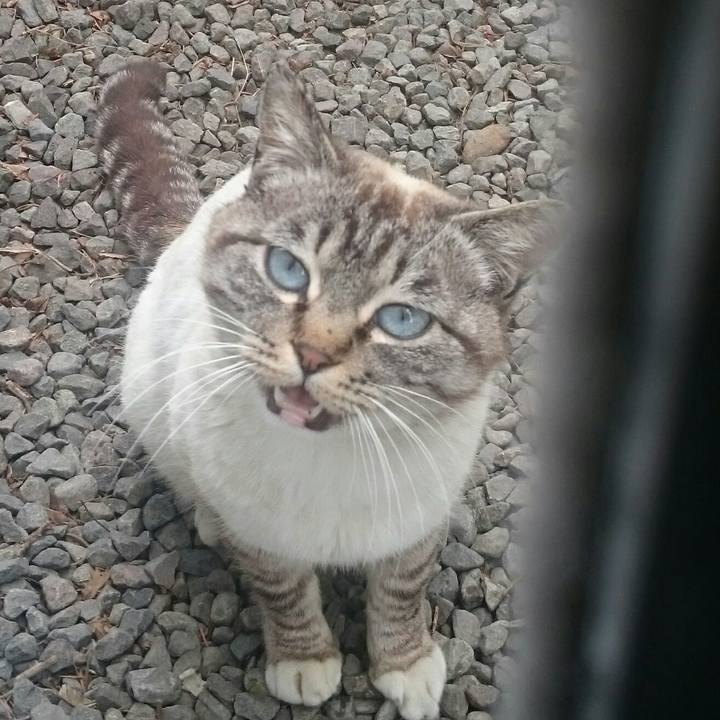 99faf62f a2b4 4858 b7ac 7e0d6ab125ec