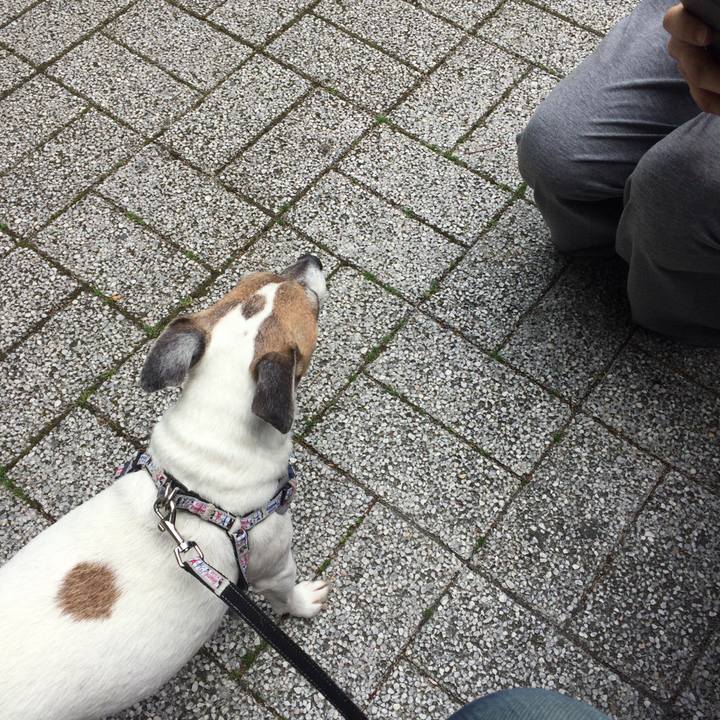 99fb4cb1 96de 4ebd a9c9 fd6ac66ae247