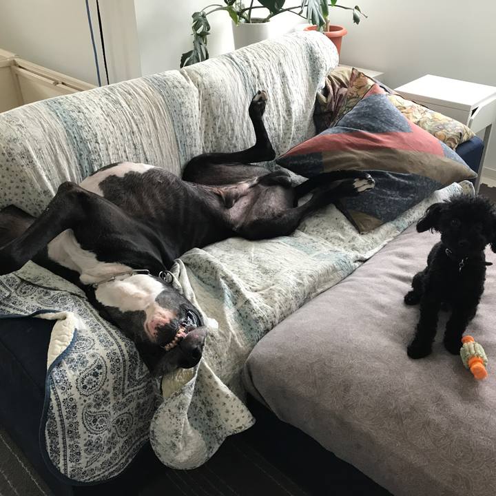 99fb5609 9704 4798 9c8b dba59cc81415