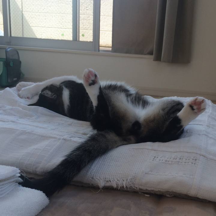 99fb9ca5 e758 4ae8 8f05 104c04325545