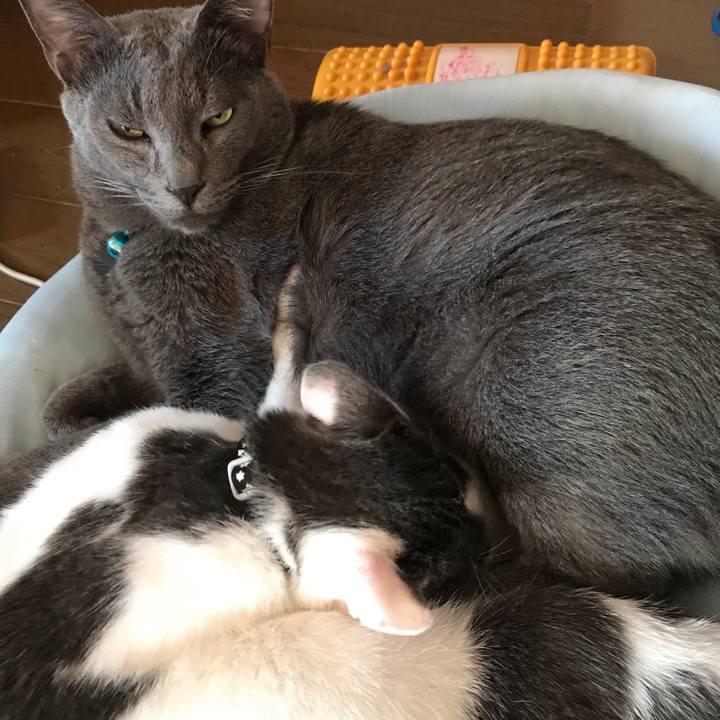 99fba801 7bd8 479a a814 7f6c39587c72