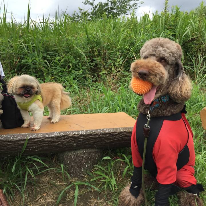 99fbdf18 620f 4a51 835f 72664b4d3886