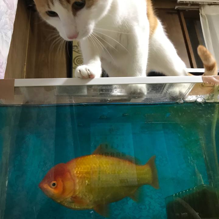 99fbf456 bb13 4190 b07f 1a5af8796feb