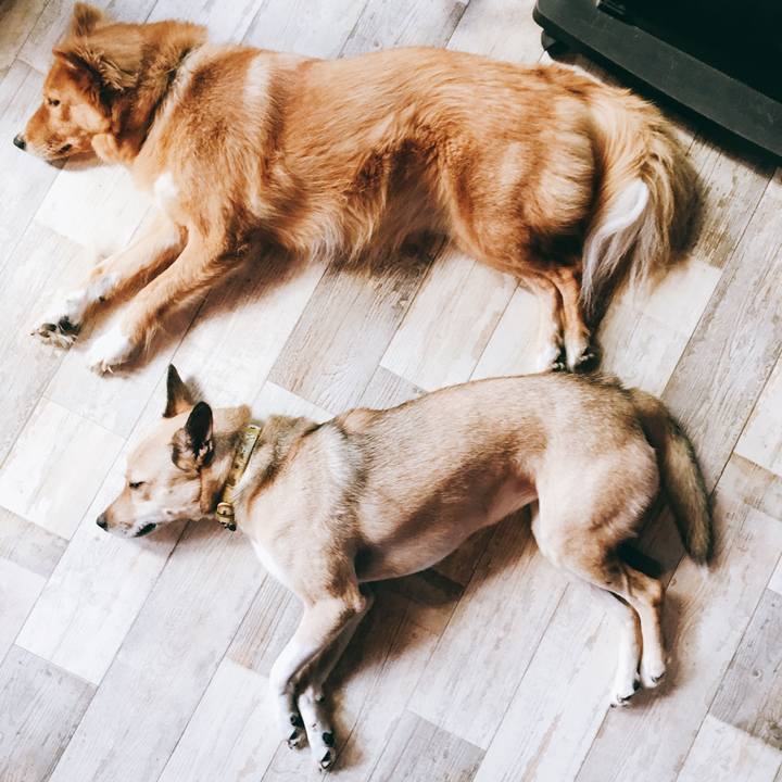 99fc470a 83a4 45e6 b43b 6ca5d8b89157