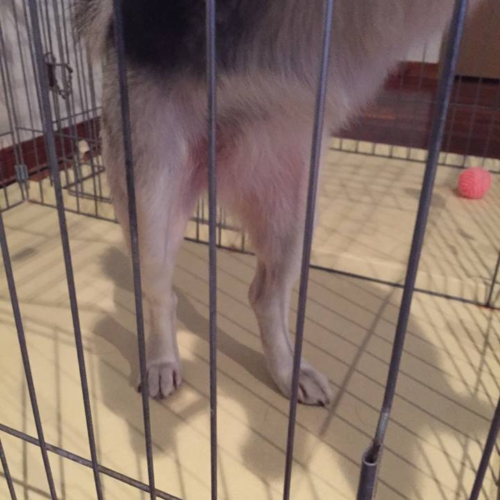 99fc7206 167c 490f a78f bf3c20cae2ff