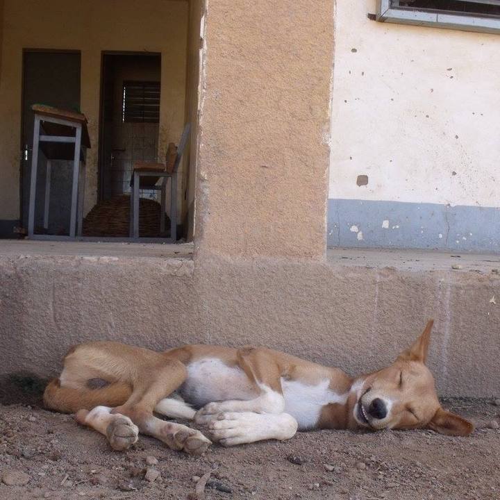 99fc92c0 adba 4285 9498 f17585c2e63a