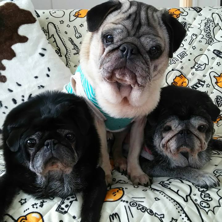 99fd162e f22f 4e50 a30c d05552966395