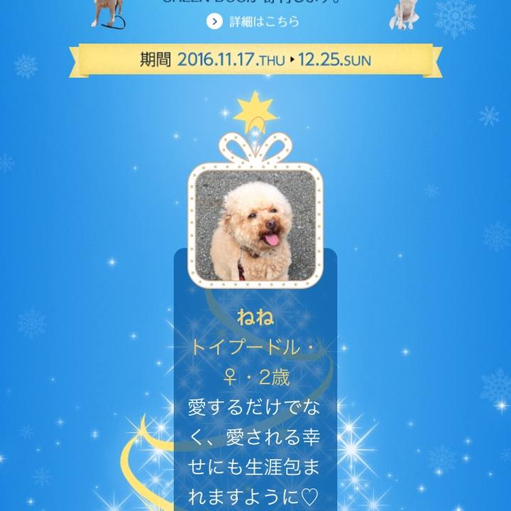 99feb344 ca95 42c4 8e80 bb5eb448f831