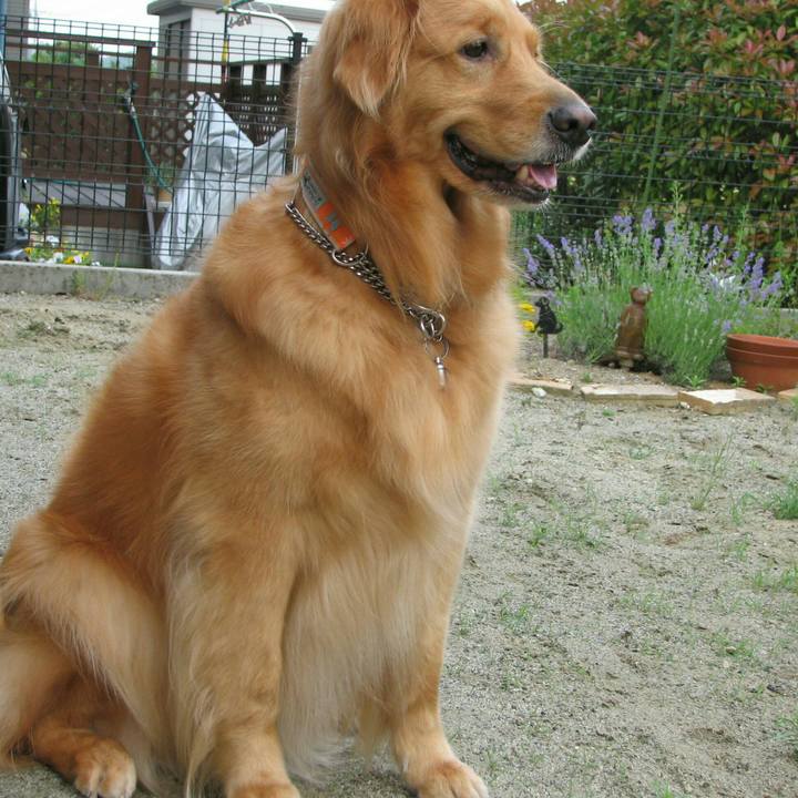 99ff643e bf73 483e a4ae 1d07bc426b3c