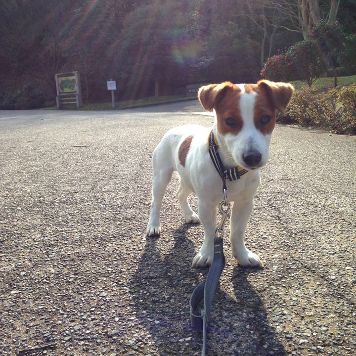 99ff935e 8a37 4449 a534 95e48b9c008f