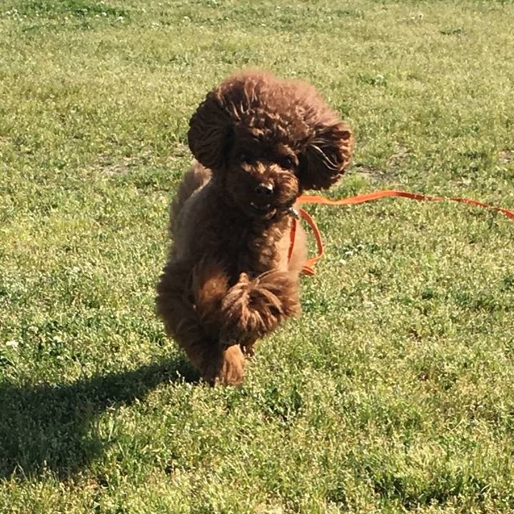 9a003e97 6499 4965 b81f 40d15d901f20