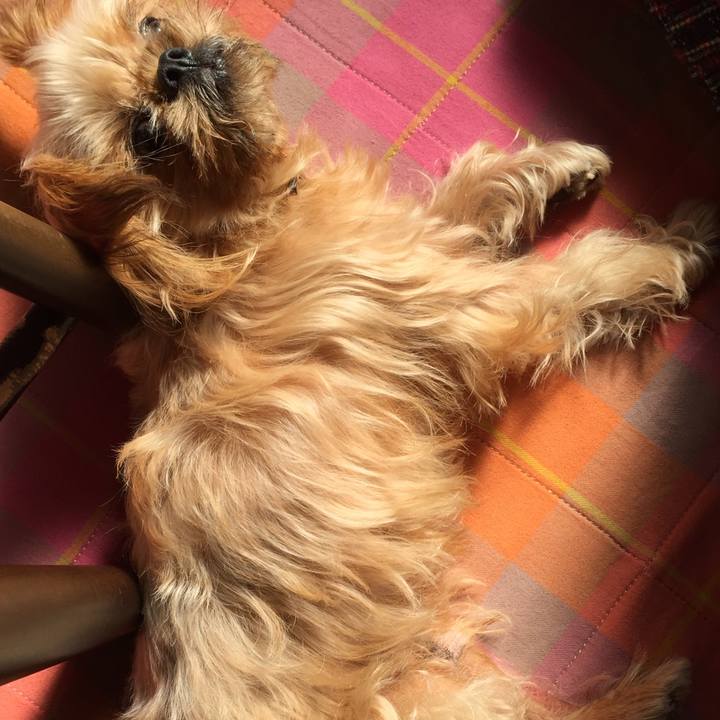 9a0053ac d106 4a7f a5c8 9e1d4df4d8a7