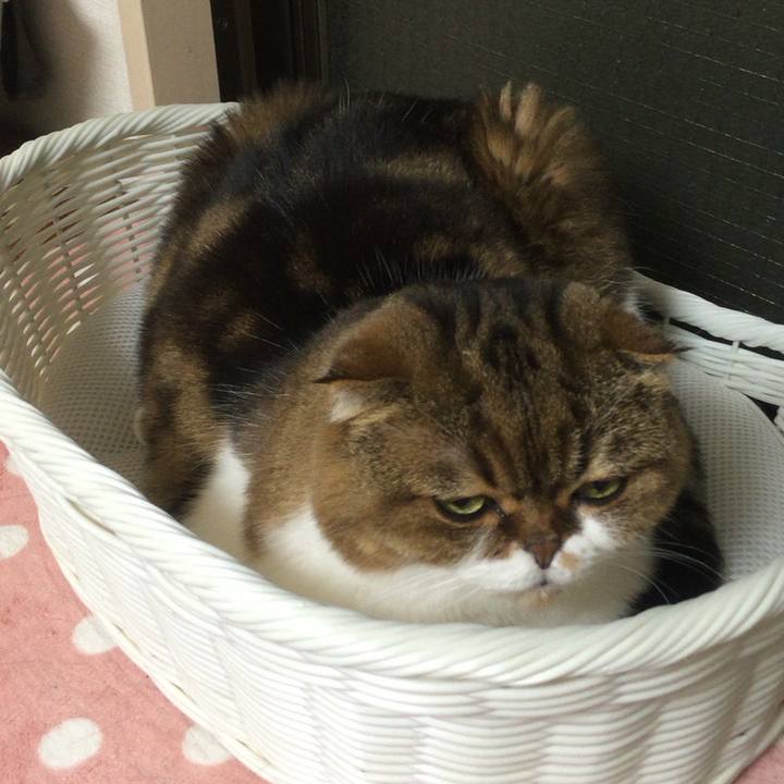 9a013d7e e53e 4137 a140 9d0bd163de0f