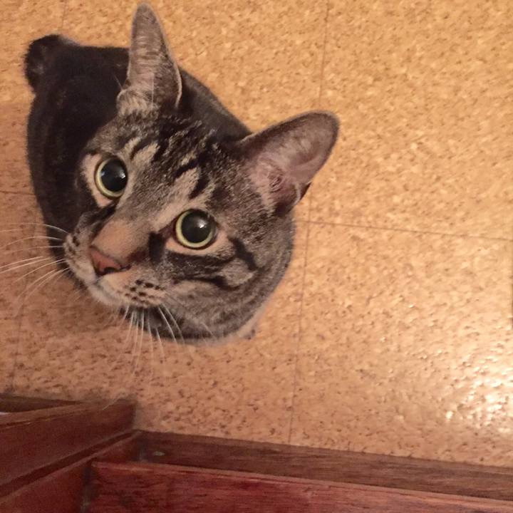 9a01a74a f00d 439e 9112 d50e188208ab