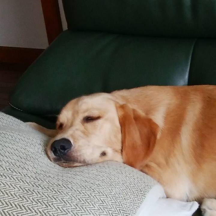 9a01c089 6d34 40ae ac09 82b115df3191