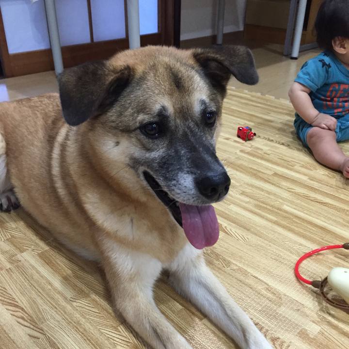 9a023293 4e0d 4acb 98ea c6107b6d7ce5