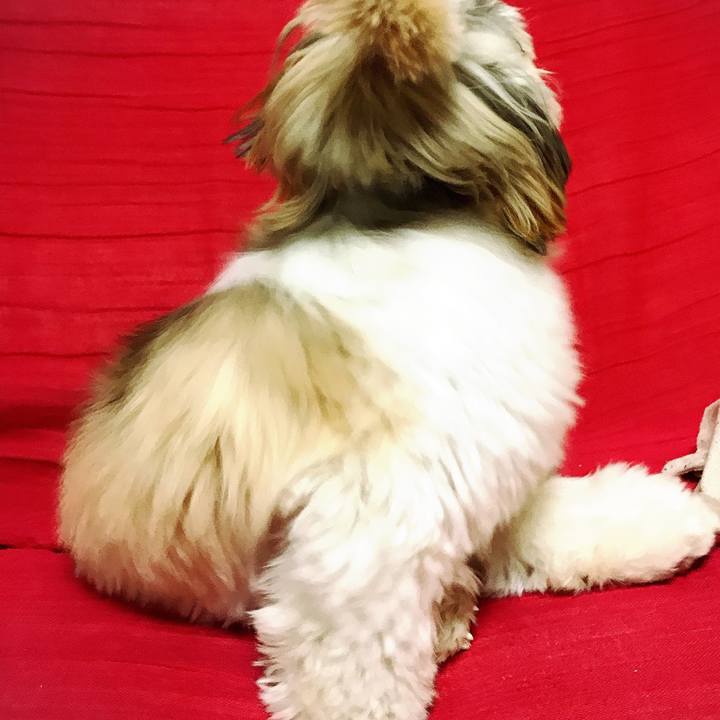 9a024ae4 834b 4536 8a26 01b9489ceac0