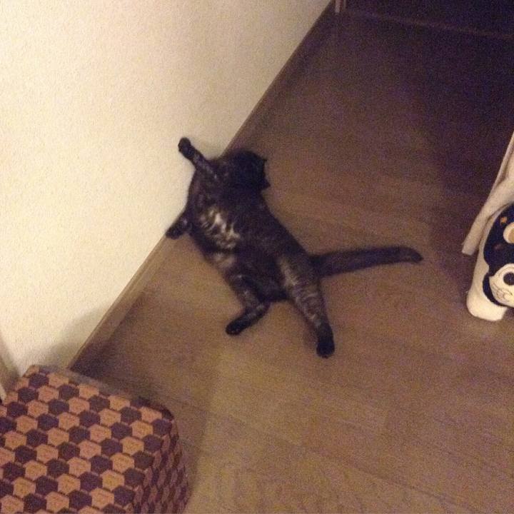 9a03c76e 176c 4126 b6da a5fd25d2880d