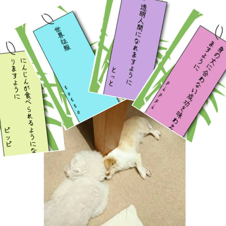 9a040f49 27e2 4df6 82b9 1d5168b0fa70