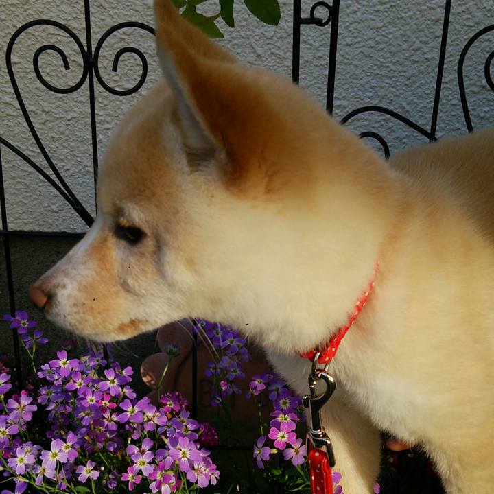 9a04f0d7 c20f 4f38 8ee9 b37195d84e71