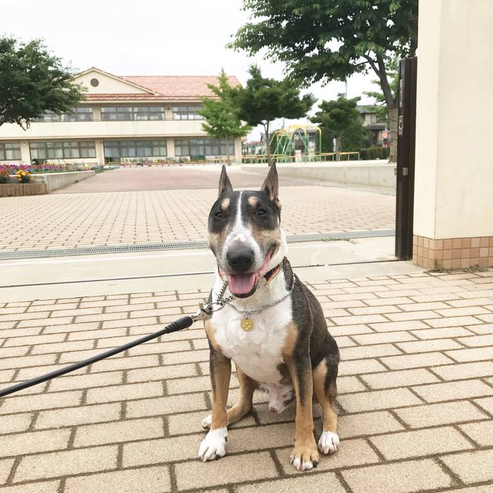 9a0555a8 c7d4 42db 8681 096b5b680d58