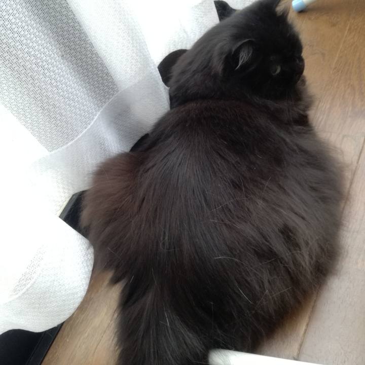 9a0593de 21d4 4b41 8c1f 68e7804516e8