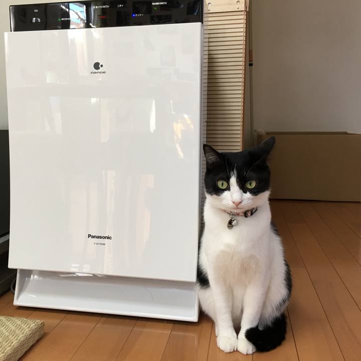 9a05de48 db9d 41a5 973b 0a83b3c079b1