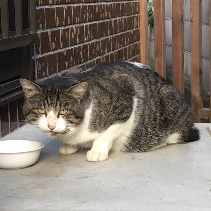 9a065e4c aa45 42c3 80c2 4486012ed26d