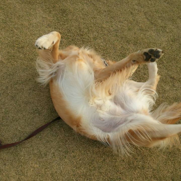 9a068670 ca17 4b4b b34f c599cf0e86c5