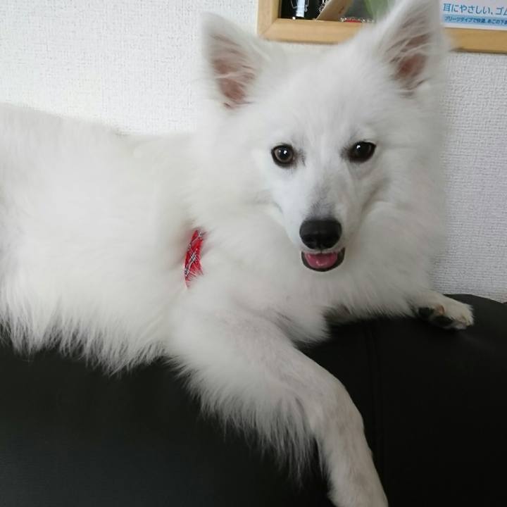 9a06bb84 6492 4134 8822 348c5591f1b2