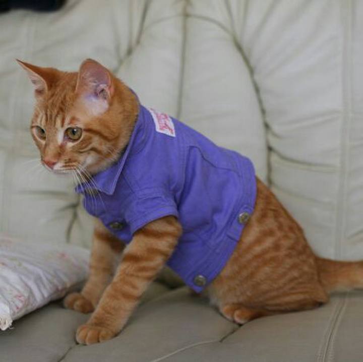 9a077ec5 fadd 45c7 8fea 02b1d84d706a