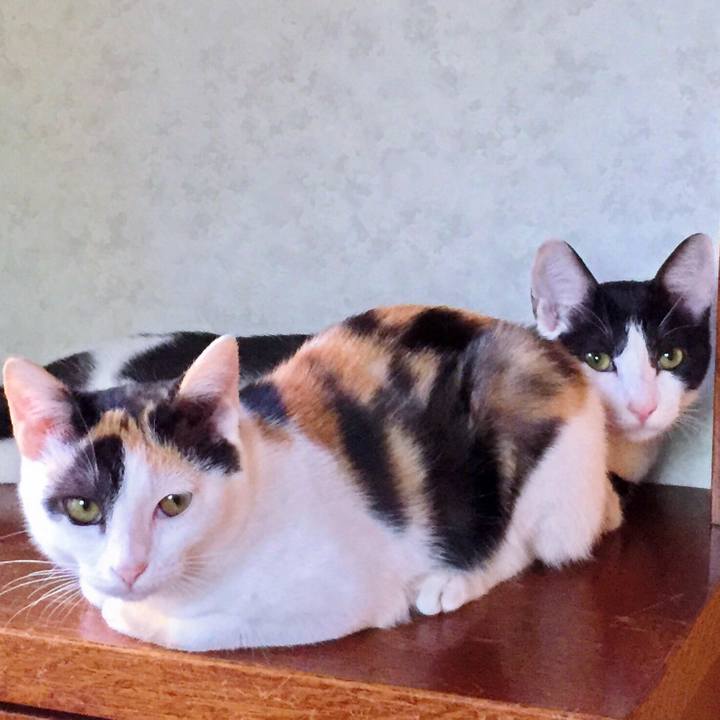 9a082948 2ea6 48b6 bdd5 e03877ef3239