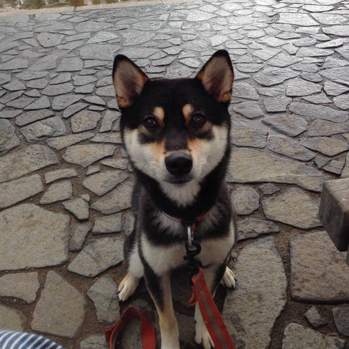 9a082af1 4546 4f1a a61b 67cc08aec1f3