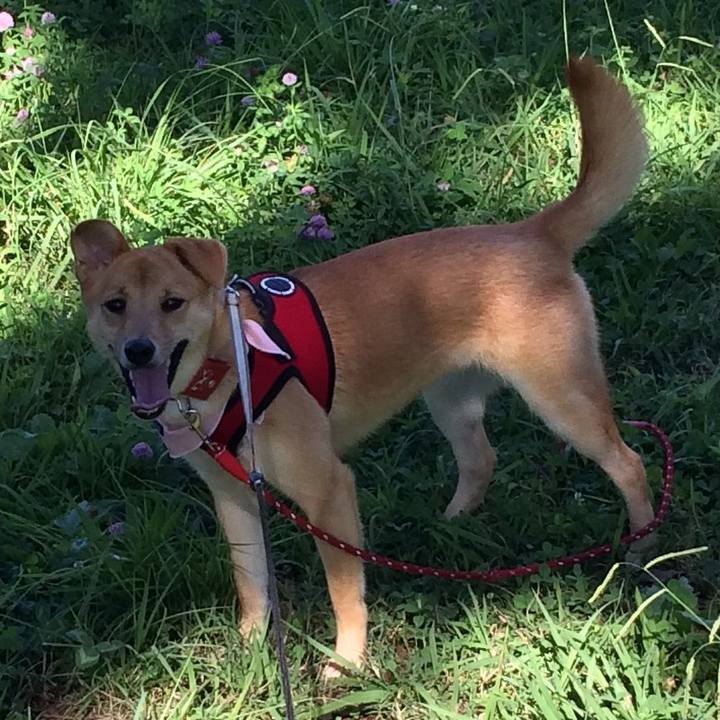 9a087577 5ab8 4c77 87a4 a75a5de24659