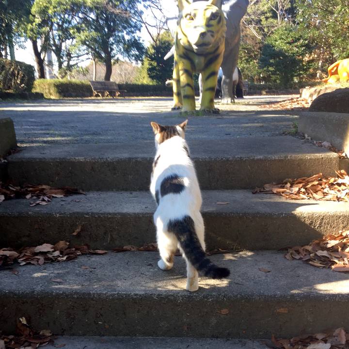 9a087d71 8870 469b b5f4 f83656bd6007