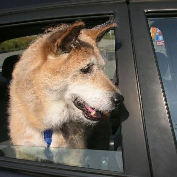 9a0975ff f3eb 4c72 89a0 04d2267f413e